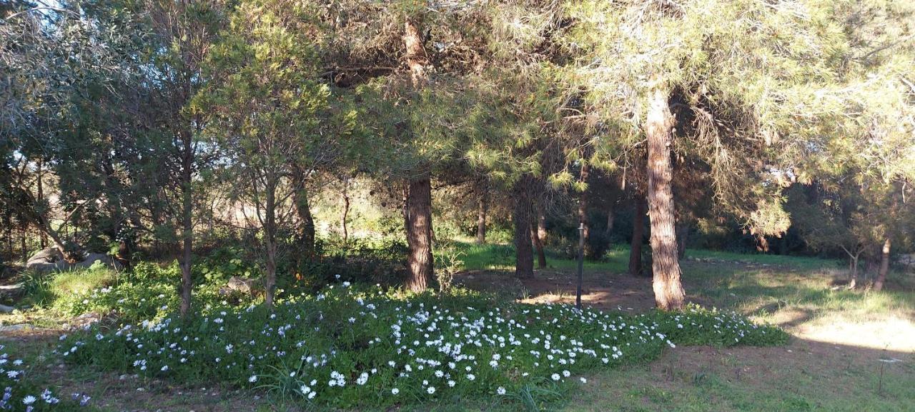 Villa Raffaella Lecce Esterno foto