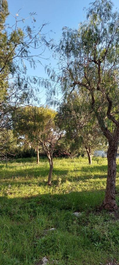 Villa Raffaella Lecce Esterno foto