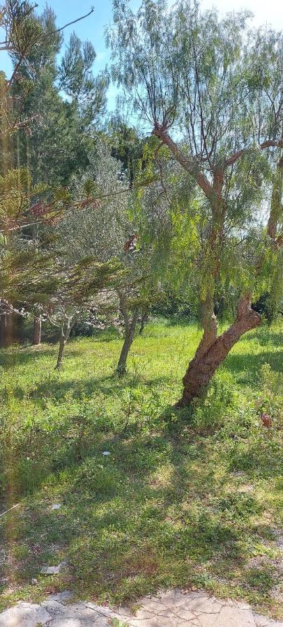 Villa Raffaella Lecce Esterno foto